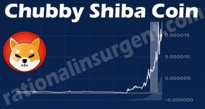 Chubby Shiba Coin (May 2021) A Freshly Released Coin!