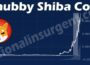 Chubby Shiba Coin (May 2021) A Freshly Released Coin!