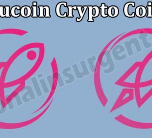 Clucoin Crypto Coin (May 2021) Where to Buy, Price
