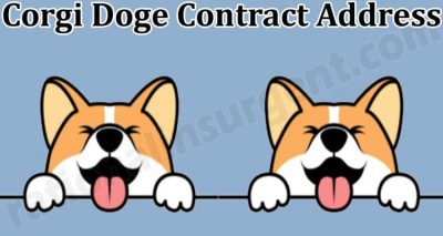 Corgi Doge Contract Address (May) Price, How to Buy