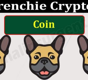 Frenchie Crypto Coin (May) Chart, Contract Address