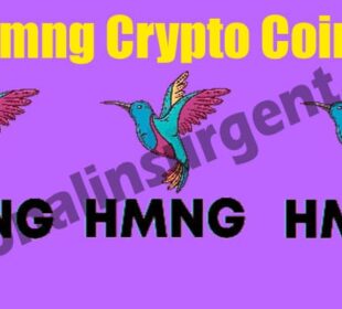 Hmng Crypto Coin (May 2021) Price Chart, How To Buy