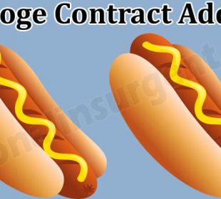 Hotdoge Contract Address (May) Coin Price, How to Buy