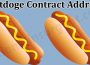 Hotdoge Contract Address (May) Coin Price, How to Buy