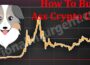 How To Buy Ass Crypto Coin 2021