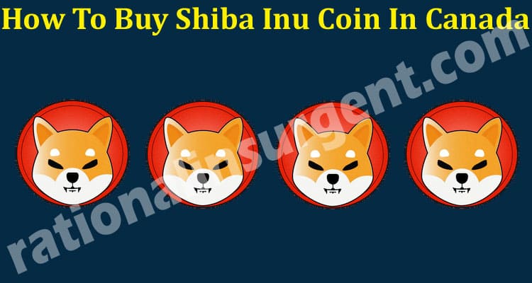 How To Buy Shiba Coin In Canada