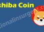 Jshiba Coin 2021