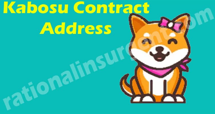 Kabosu Contract Address 2021
