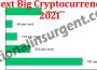 Next Big Cryptocurrency 2021 (May) How To Buy Chart!