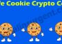 Safe Cookie Crypto Coin (May 2021) How To Purchase It