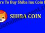 Where To Buy Shiba Inu Coin In Us