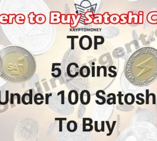 Where to Buy Satoshi Coin (May) Checkout Details Now! 221.