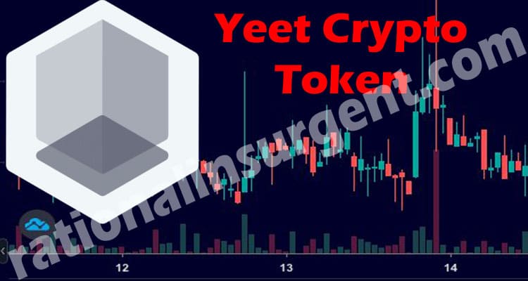 Yeet Crypto Token (May 2021) Get The Useful Information!