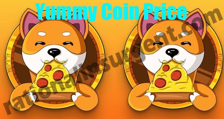 Yummy Coin Price (May) Coin Price, How To Purchase It