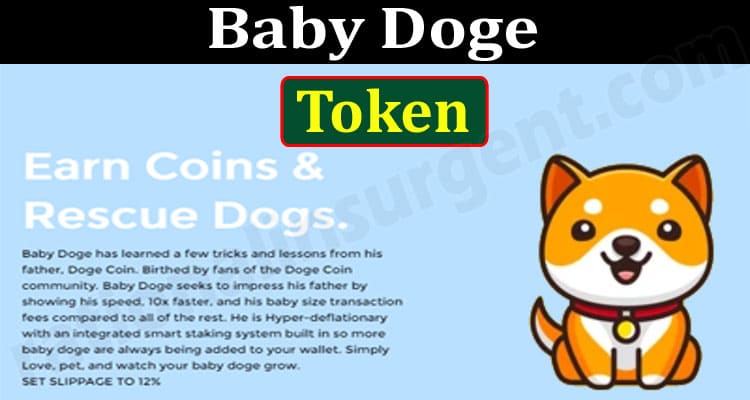 Baby Doge Token {Jun} Read Here For Token Information!