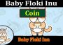 Baby Floki Inu Coin 2021.