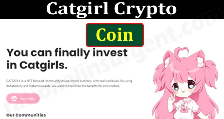 Cat girl crypto where to buy machine for crypto mining