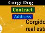 Corgi Dog Contract Address (June) Price, How To Buy