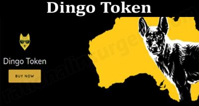 Dingo Token {June 2021} Price, Coin Chart – Read & Know!