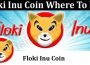 Floki Inu Coin Where To Buy (June) Prediction, Chart!