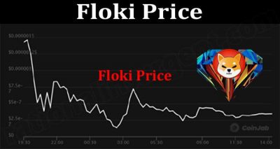 Floki Price (June 2021) How To Buy Contract Address
