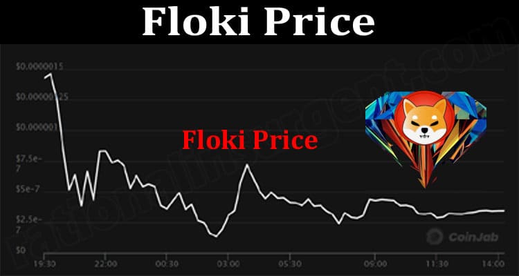 Floki Price (June 2021) How To Buy Contract Address