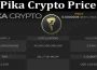 Pika Crypto Price {June} Know About An Emerging Token!