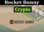 Rocket Bunny Crypto (June) Price, Chart & How To Buy