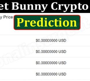 Rocket Bunny Crypto Price Prediction {June} Read It!