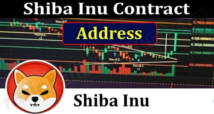 Shiba Inu Contract Address (June) Chart, How To Buy