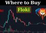 Where To Buy Floki (June 2021) Price, Contract Address