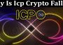 Why Is Icp Crypto Falling (June 2021) A Helpful Guide!