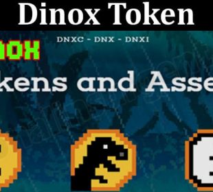 About General Information Dinox-Token