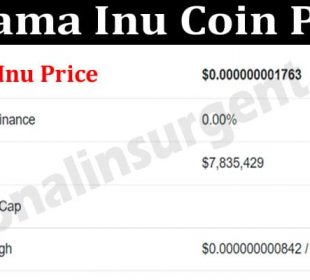 About General Information Saitama Inu Coin Price