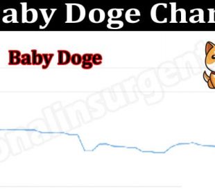 Baby Doge Chart 2021.