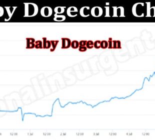 Baby Dogecoin Chart 2021.