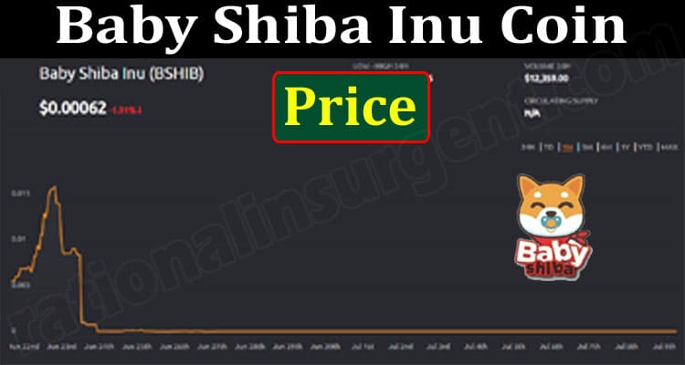 Baby Shiba Inu Coin Price (July) Chart & Prediction!