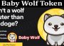 Baby Wolf Token 2021.