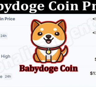 Babydoge Coin Price 2021.