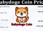 Babydoge Coin Price 2021.