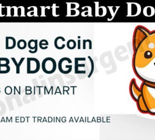 Bitmart Baby Doge 2021
