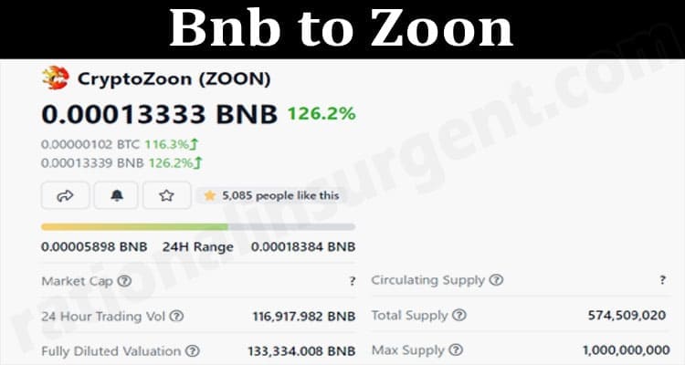 Bnb to Zoon 2021