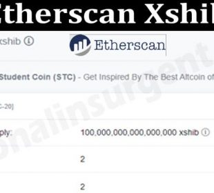 Etherscan Xshib (July) Price, Prediction & How To Buy