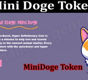 Mini Doge Token (July) Price, Prediction & How To Buy 2021.