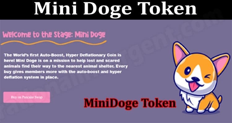 Mini Doge Token (July) Price, Prediction & How To Buy 2021.