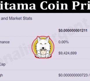 Saitama Coin Price 2021.