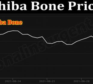 Shiba Bone Price 2021.