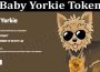 About General Information Baby Yorkie Token