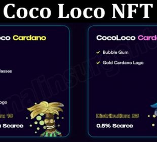 About General Information Coco Loco NFT