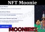 About General Imformation NFT Moonie